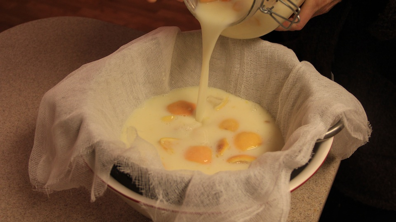 Illustration for article titled How to Make Milk That'll Get You Hammered